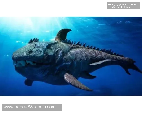 哥里卡与舒拉克的精彩对决分析及赛后精彩瞬间回顾